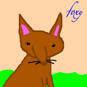 foxy